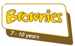 Brownies